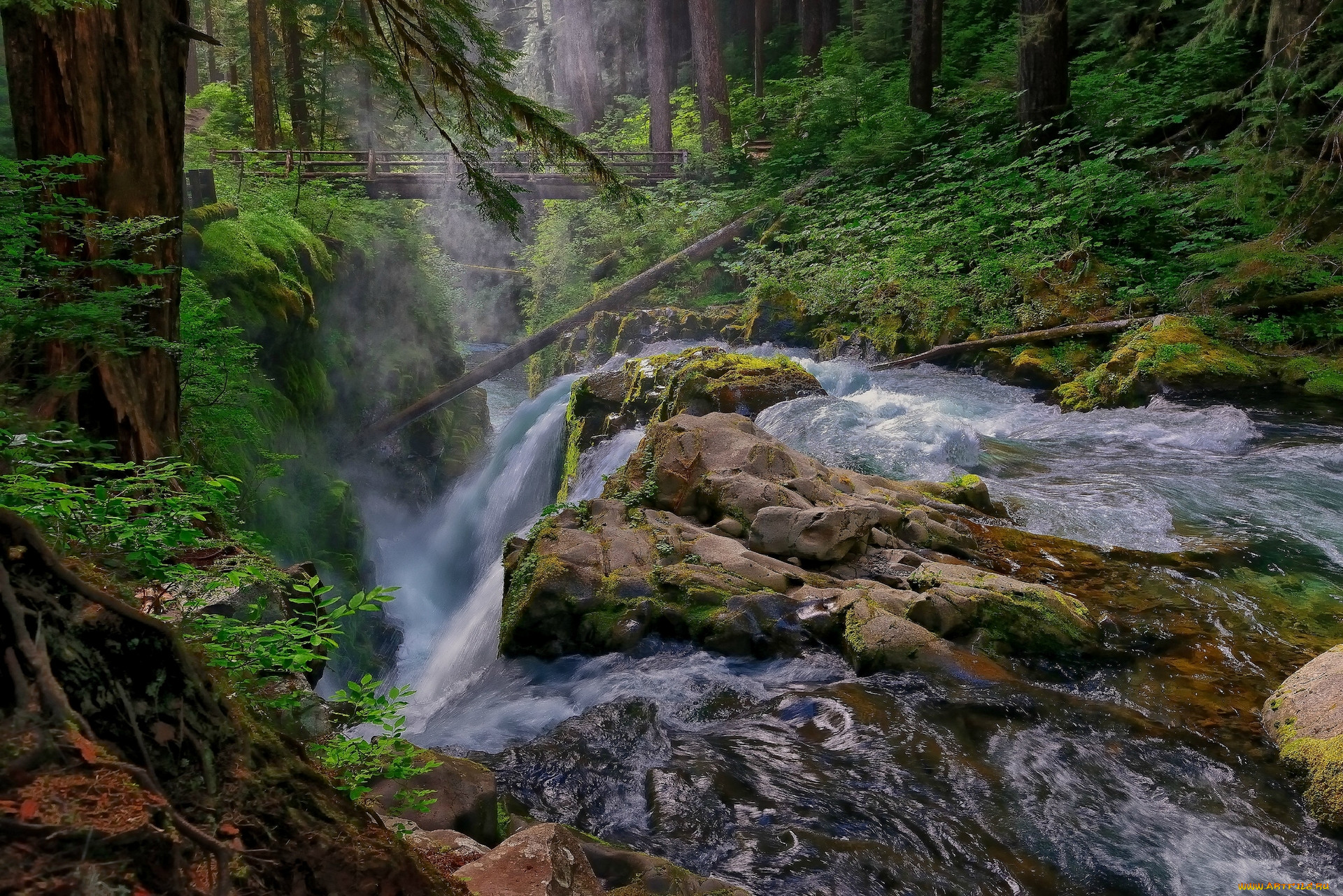 sol, duc, falls, olympic, national, park, washington, , , , , 